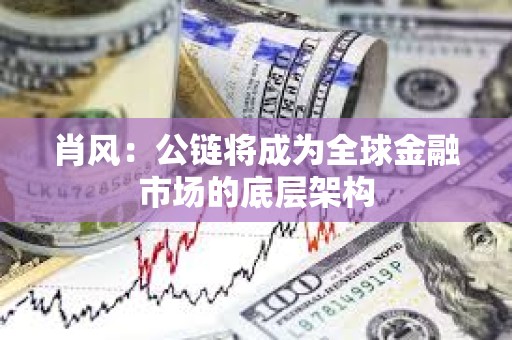 肖風(fēng)：公鏈將成為全球金融市場的底層架構(gòu)