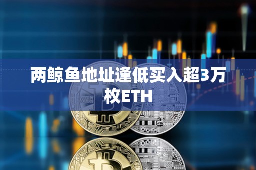 兩鯨魚地址逢低買入超3萬枚ETH