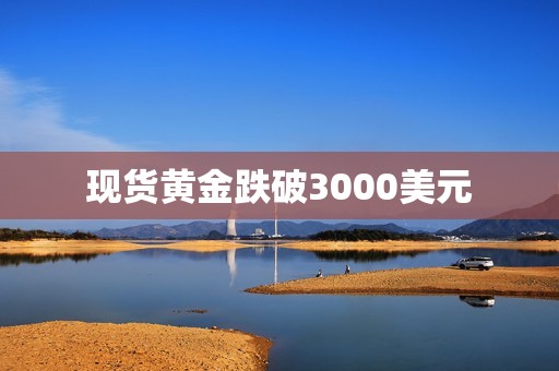 現貨黃金跌破3000美元