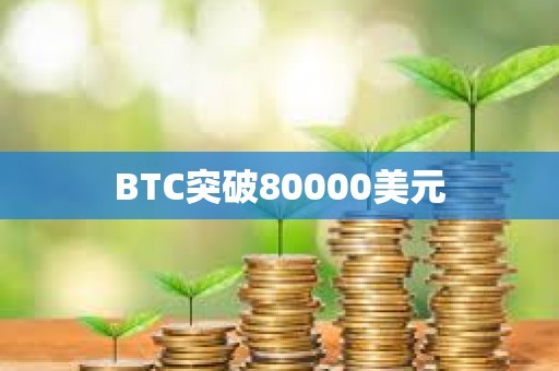 BTC突破80000美元