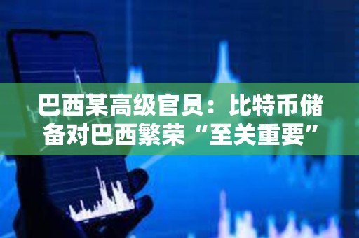 巴西某高級官員：比特幣儲備對巴西繁榮“至關重要”