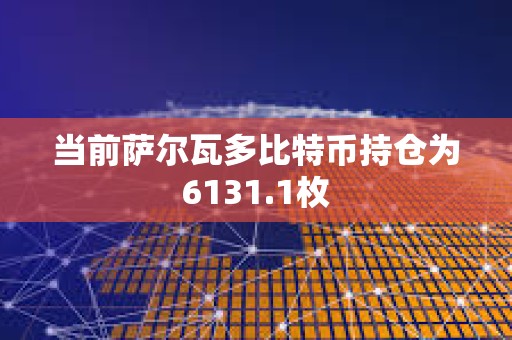 當(dāng)前薩爾瓦多比特幣持倉為6131.1枚