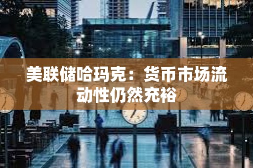 美聯(lián)儲(chǔ)哈瑪克：貨幣市場流動(dòng)性仍然充裕