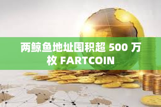 兩鯨魚地址囤積超 500 萬枚 FARTCOIN