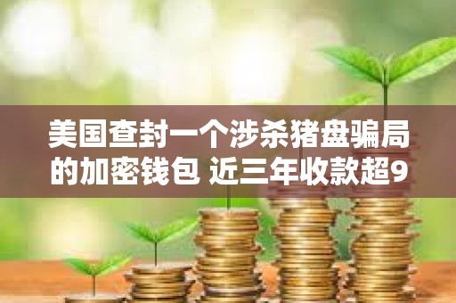 美國查封一個涉殺豬盤騙局的加密錢包 近三年收款超9000萬美元