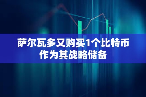 薩爾瓦多又購買1個比特幣作為其戰略儲備