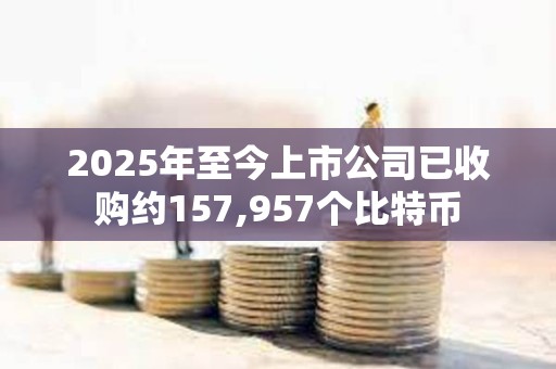 2025年至今上市公司已收購約157,957個比特幣