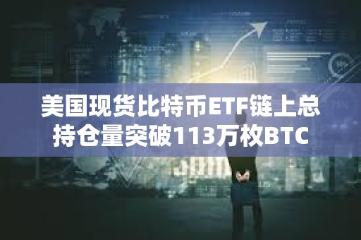 美國現(xiàn)貨比特幣ETF鏈上總持倉量突破113萬枚BTC