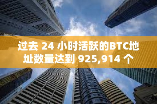 過去 24 小時活躍的BTC地址數量達到 925,914 個