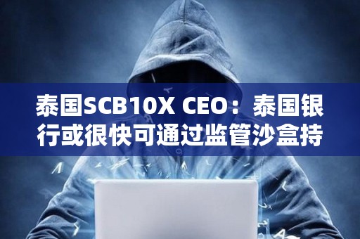泰國SCB10X CEO：泰國銀行或很快可通過監管沙盒持有加密貨幣