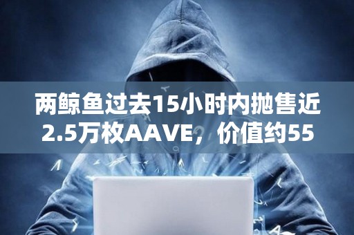 兩鯨魚過去15小時內拋售近2.5萬枚AAVE，價值約551萬美元