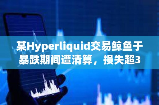 某Hyperliquid交易鯨魚于暴跌期間遭清算，損失超350萬美元