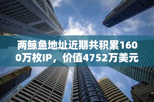兩鯨魚地址近期共積累1600萬枚IP，價值4752萬美元