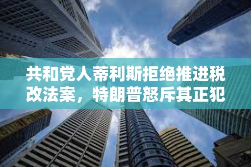 共和黨人蒂利斯拒絕推進稅改法案，特朗普怒斥其正犯下大錯