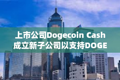 上市公司Dogecoin Cash成立新子公司以支持DOGE財(cái)庫(kù)策略