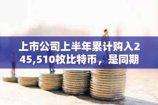 上市公司上半年累計(jì)購(gòu)入245,510枚比特幣，是同期ETF購(gòu)入量的兩倍多
