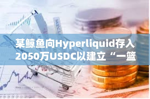 某鯨魚向Hyperliquid存入2050萬USDC以建立“一籃子”空頭倉位