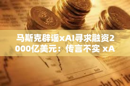 馬斯克辟謠xAI尋求融資2000億美元：傳言不實 xAI資金充足 目前不尋求融資