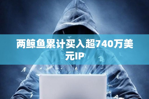兩鯨魚累計買入超740萬美元IP