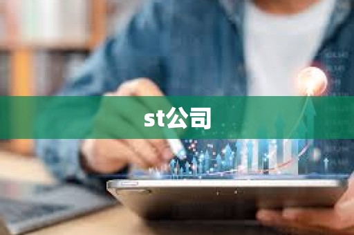 st公司 st公司