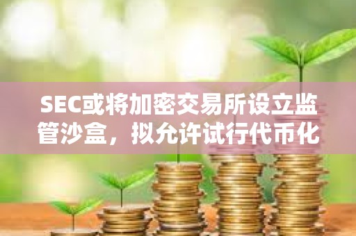 SEC或將加密交易所設立監管沙盒，擬允許試行代幣化證券交易