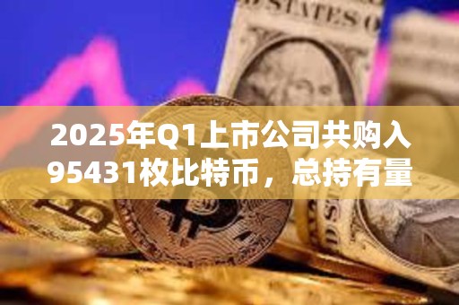 2025年Q1上市公司共購入95431枚比特幣，總持有量達68.8萬枚