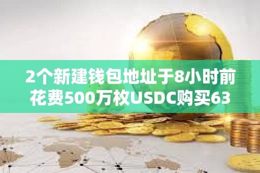 2個新建錢包地址于8小時前花費500萬枚USDC購買630,339枚TRUMP