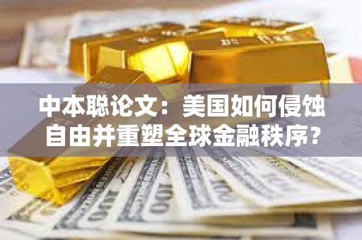 中本聰論文：美國如何侵蝕自由并重塑全球金融秩序？（節選）