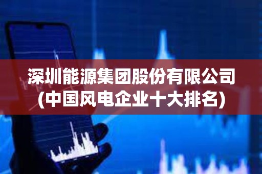 深圳能源集團股份有限公司(中國風電企業十大排名) 深圳能源集團股份有限公司(中國風電企業十大排名)