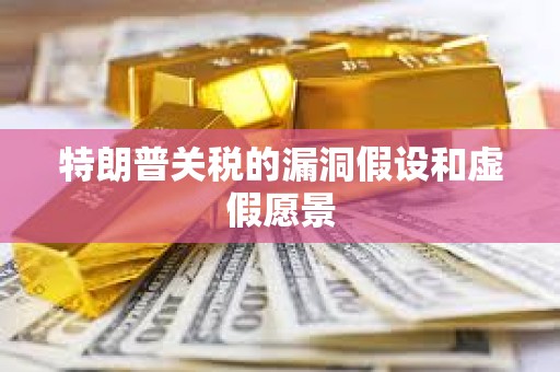 特朗普關(guān)稅的漏洞假設(shè)和虛假愿景