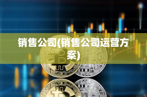 銷售公司(銷售公司運營方案)