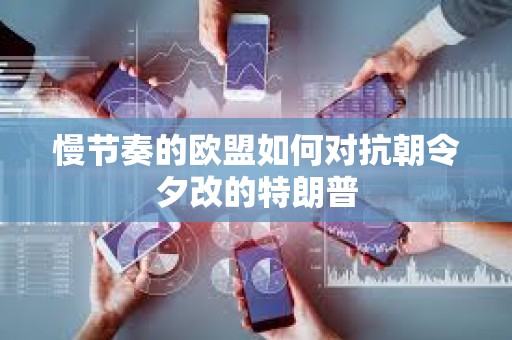 慢節奏的歐盟如何對抗朝令夕改的特朗普