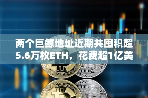 兩個(gè)巨鯨地址近期共囤積超5.6萬枚ETH，花費(fèi)超1億美元