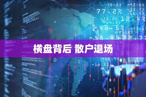 橫盤背后 散戶退場