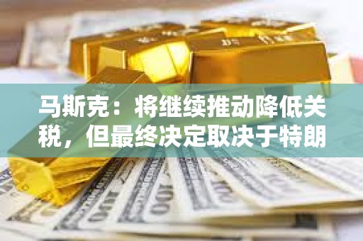 馬斯克：將繼續推動降低關稅，但最終決定取決于特朗普