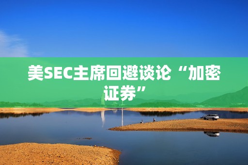 美SEC主席回避談論“加密證券”