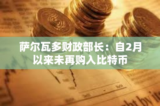 薩爾瓦多財政部長：自2月以來未再購入比特幣