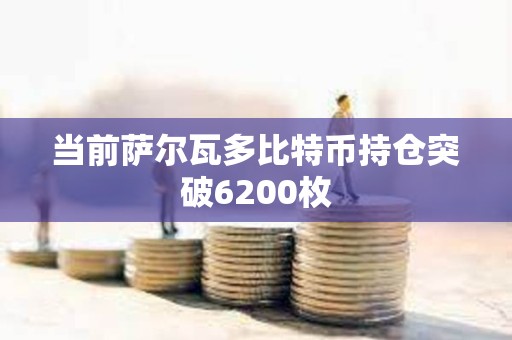 當前薩爾瓦多比特幣持倉突破6200枚