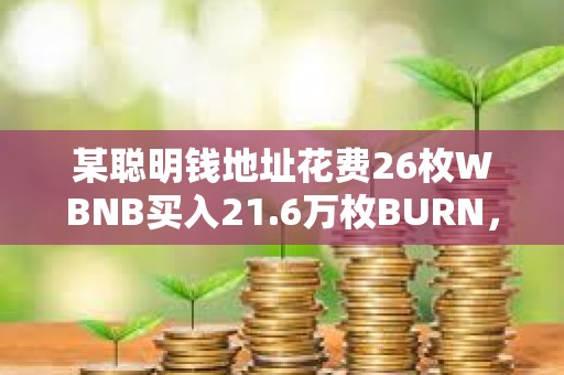 某聰明錢地址花費26枚WBNB買入21.6萬枚BURN，現價值242枚WBNB