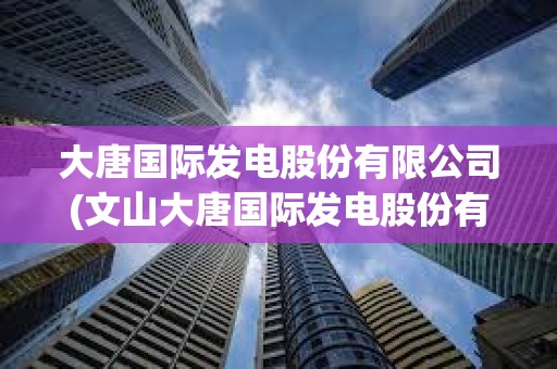 大唐國際發電股份有限公司(文山大唐國際發電股份有限公司)