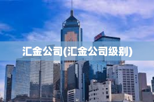 匯金公司(匯金公司級別)