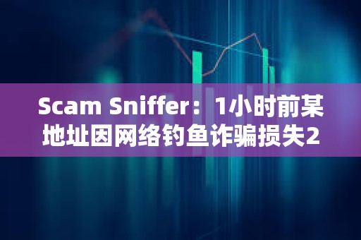 Scam Sniffer：1小時(shí)前某地址因網(wǎng)絡(luò)釣魚詐騙損失25萬美元資產(chǎn)