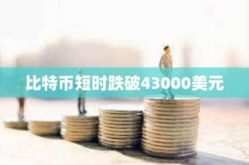 比特幣短時跌破43000美元