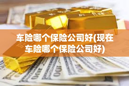 車險哪個保險公司好(現在車險哪個保險公司好)