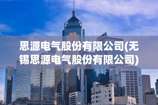 思源電氣股份有限公司(無錫思源電氣股份有限公司)