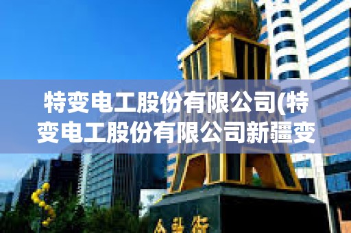 特變電工股份有限公司(特變電工股份有限公司新疆變壓器廠) 特變電工股份有限公司(特變電工股份有限公司新疆變壓器廠)