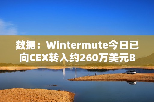 數據：Wintermute今日已向CEX轉入約260萬美元BLUR