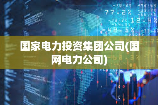 國家電力投資集團公司(國網電力公司)