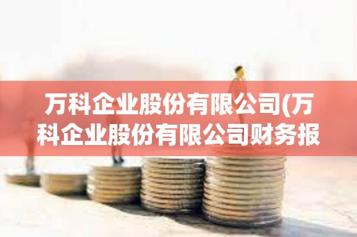 萬科企業股份有限公司(萬科企業股份有限公司財務報表分析) 萬科企業股份有限公司(萬科企業股份有限公司財務報表分析)