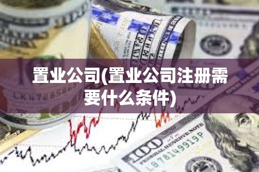 置業公司(置業公司注冊需要什么條件)